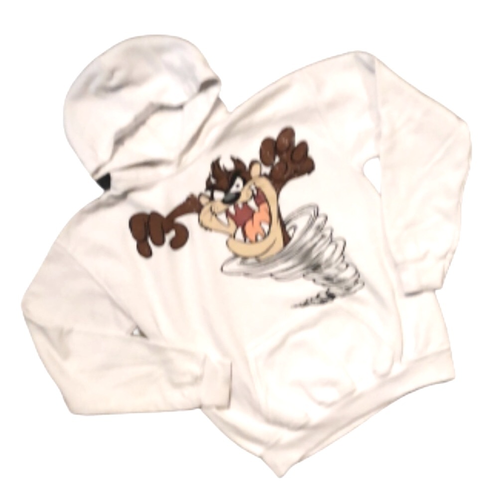 💕Looney Tunes Six Flags Hoodie💕
